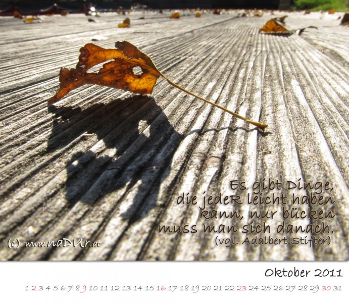Kalenderblatt Oktober 2011