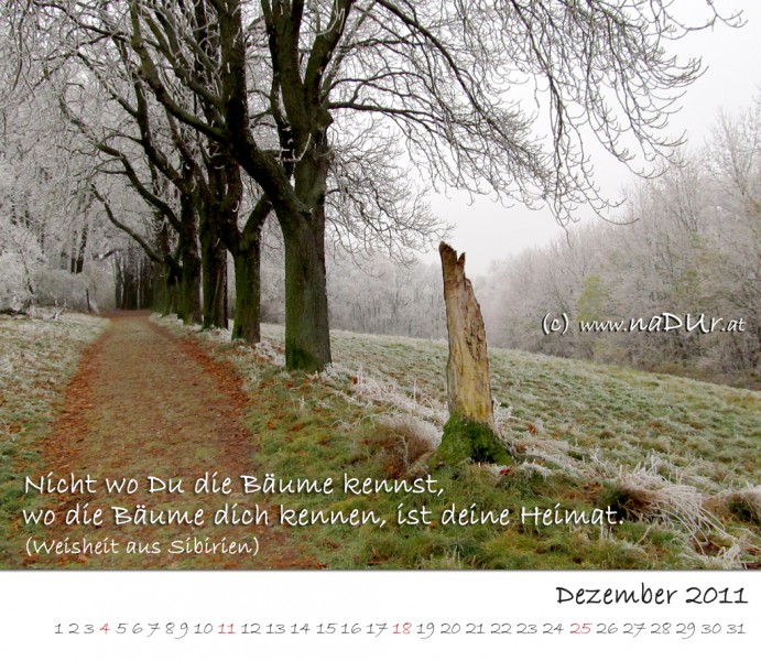 2011 - Kalenderblatt Dezember