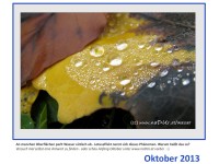 Oktober im naDUr-Wasser-Kalender 2013-10