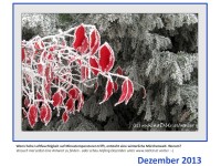 Dezember im naDUr-Wasser-Kalender 2013