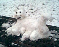 Schnee-Katze